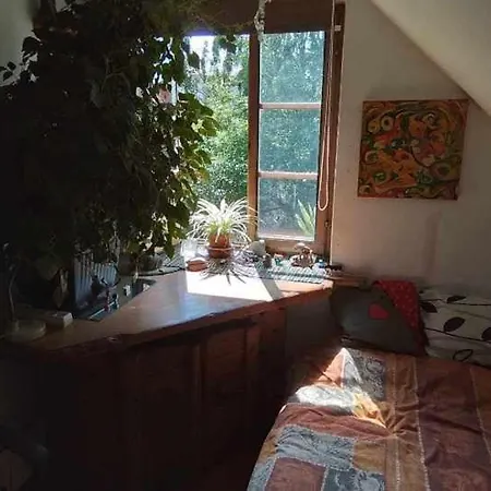 Art Gallery Apartment Klaipeda Exterior photo