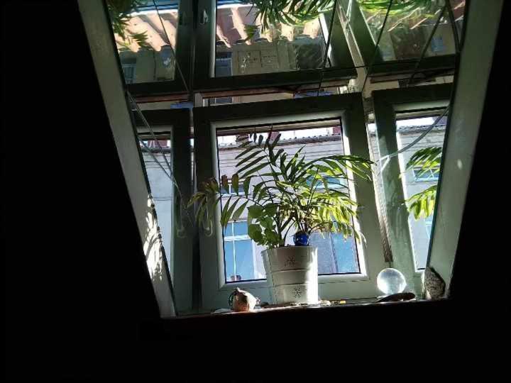 Art Gallery Klaipėda